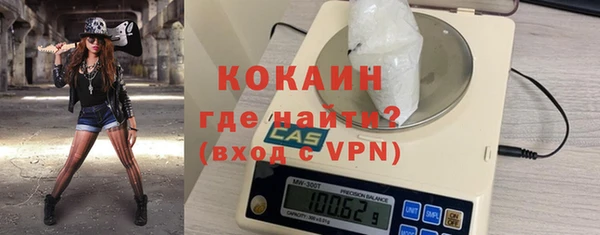 стаф Алзамай