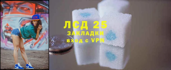 ПСИЛОЦИБИНОВЫЕ ГРИБЫ Козельск