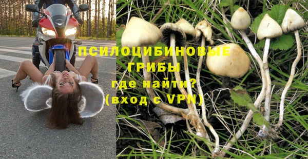 твердый Алексеевка