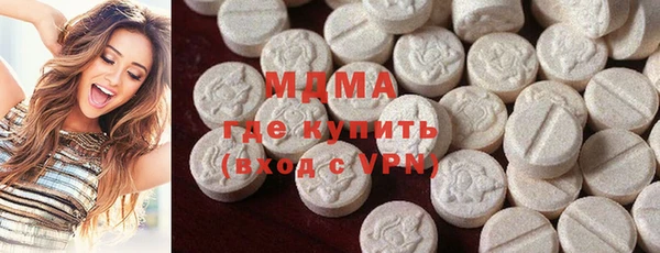индика Алексин