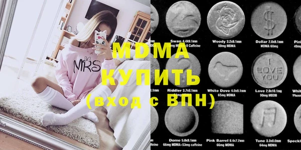 индика Алексин
