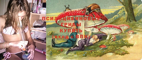 стаф Алзамай