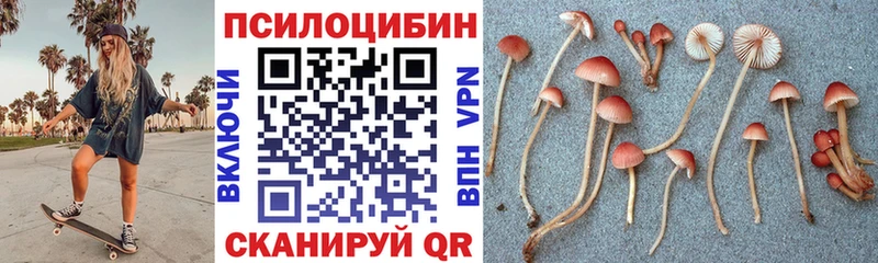 ОМГ ОМГ ССЫЛКА Каменск-Уральский Галлюциногенные грибы GOLDEN TEACHER